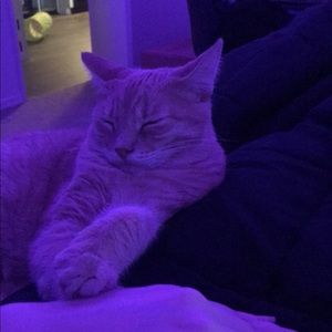 Meet your Posher, Tatum